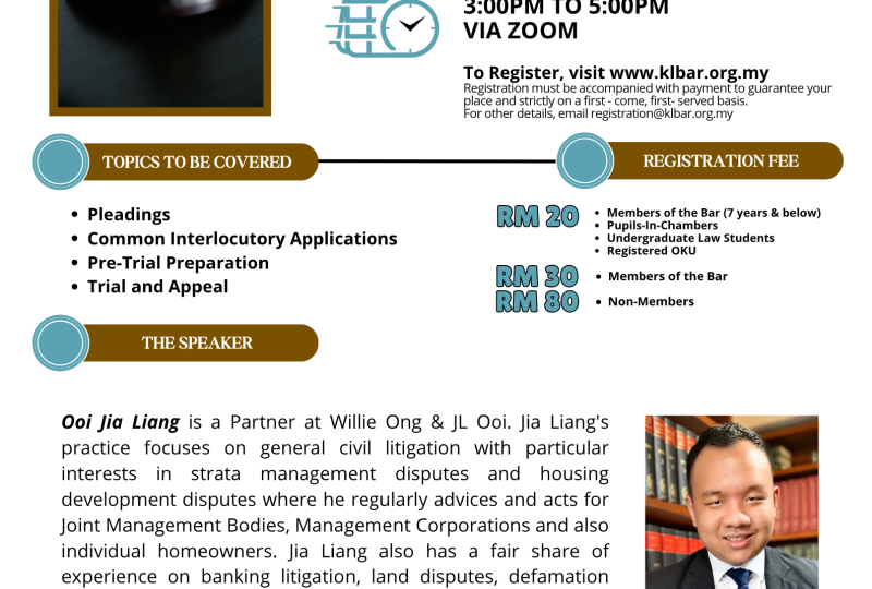 The Basics Of Civil Litigation On 12 November 2025
